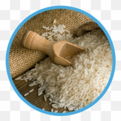 Plastic Rice In Pakistan Png Image With - White Rice Farm,Arroz Png