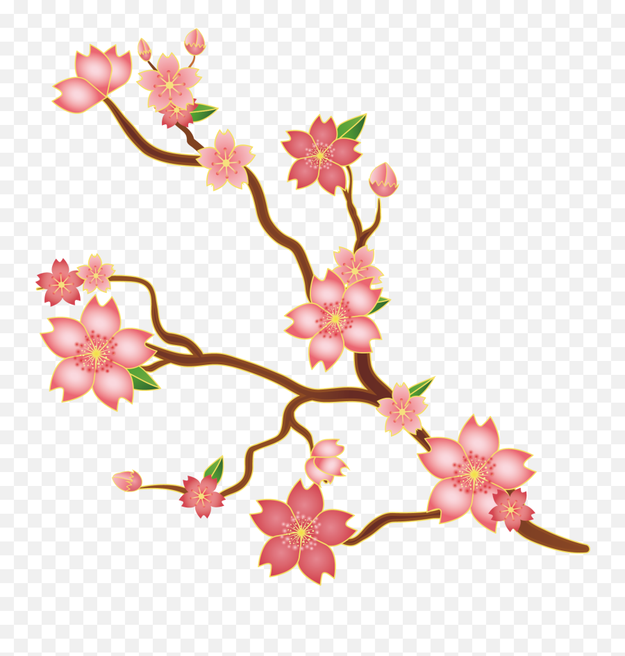 Svg Library Stock Cherry Blossoms Clipart - Cerezo Vector Japan Cherry Blossom Svg Png,Fondo Png