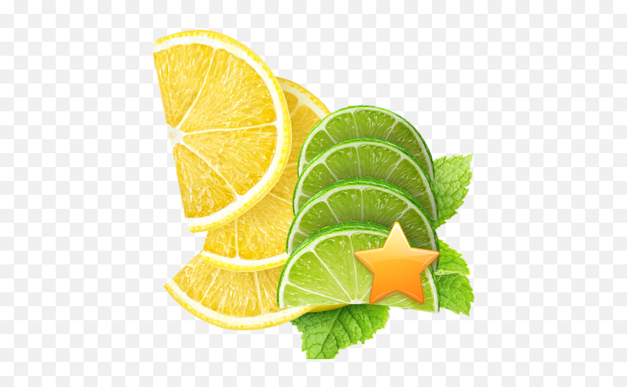 358 Lemon U0026 Lime Half Slices Bundle U2013 Chophouse - Meyer Lemon Png,Lime Slice Png