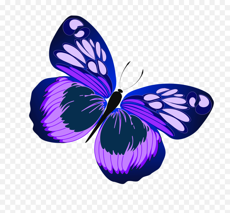 Download Purple Rose Clipart Real Butterfly - Purple Butterfly Clip Art Free Png,Real Rose Png