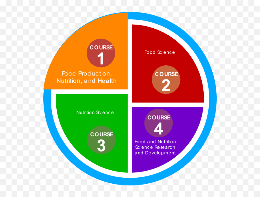 Course 3. Health scheme. Food Science PNG.