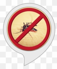 Amazoncom Mosquito Stop Alexa Skills - No Sign Png,Mosquito Transparent