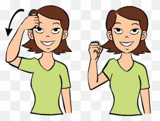 Hairbrush - Game Asl png