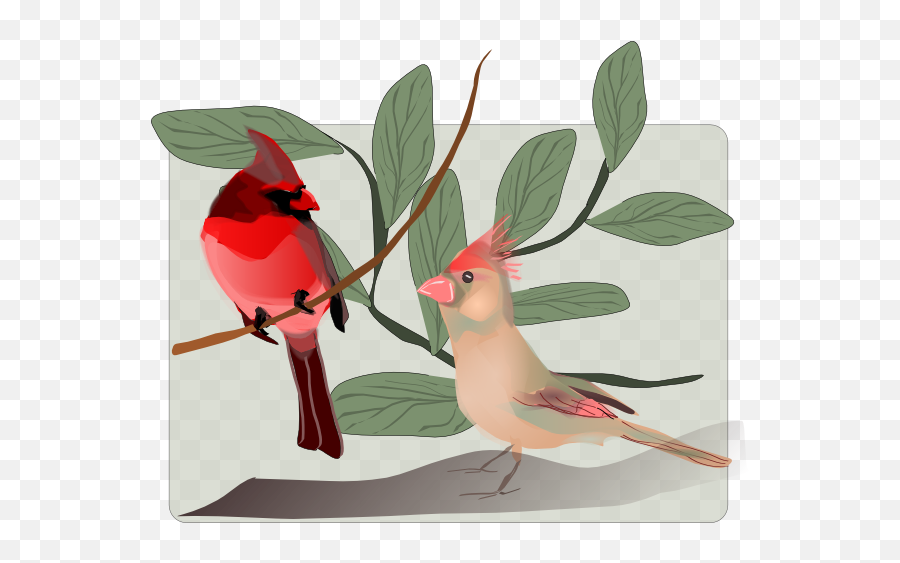 cardinals clipart images