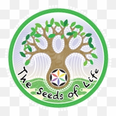 The Seeds Of Life Cafe U2013 Raw Food In Bali My - Seeds Of Life Png,Raw Logo Png