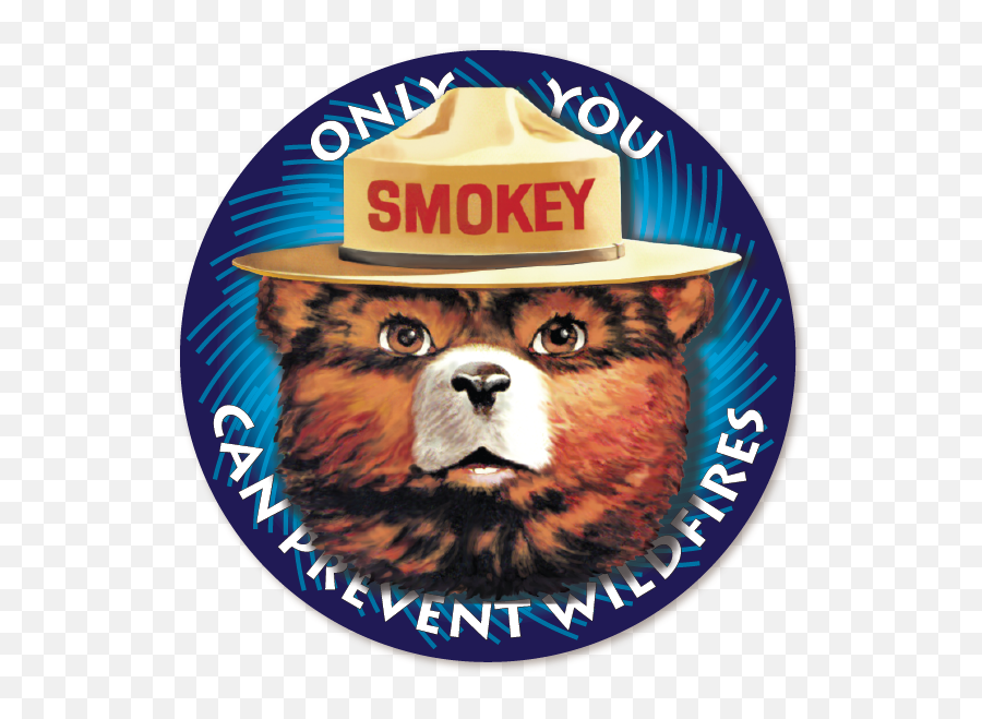Smokey Bear Magnetic Logos - Smokey The Bear Png,Bear Logos