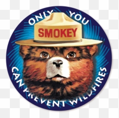 Smokey Bear Magnetic Logos - The png
