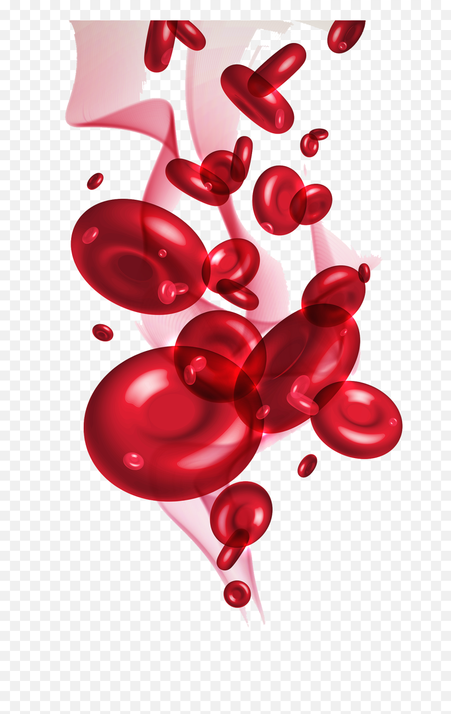 Pool Of Blood Png Transparent - Blood Cells Png,Blood Pool Png
