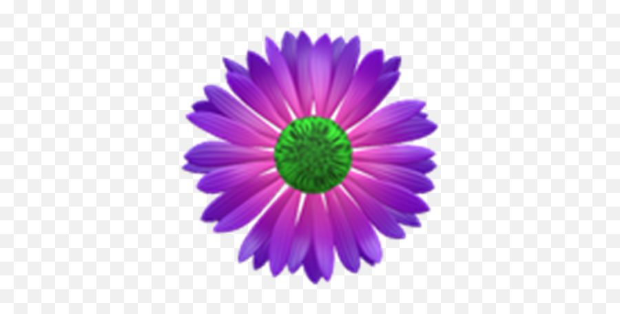 Purple And Pink Flower W Transparent Background - Roblox Lic Cm Club Member Logo Png,Pink Flower Transparent Background