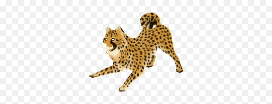 Download Cheetah Png Clipart - Clip Art,Cheetah Png