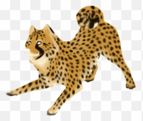 Download Cheetah Png Clipart - Clip Art,Cheetah Png