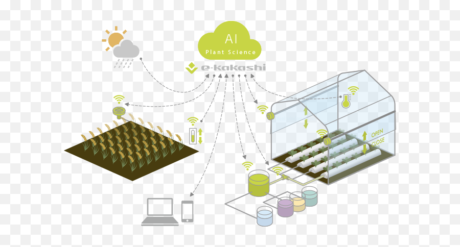 Download Hd The Agriculture Ai Brain - Agriculture Ai For Agriculture Png,Agriculture Png