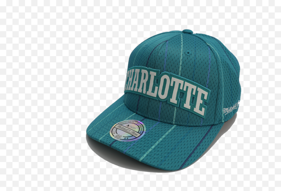 Download Charlotte Hornets Mitchell U0026 Ness Jersey Logo 110 - Baseball Cap Png,Hornets Logo Png