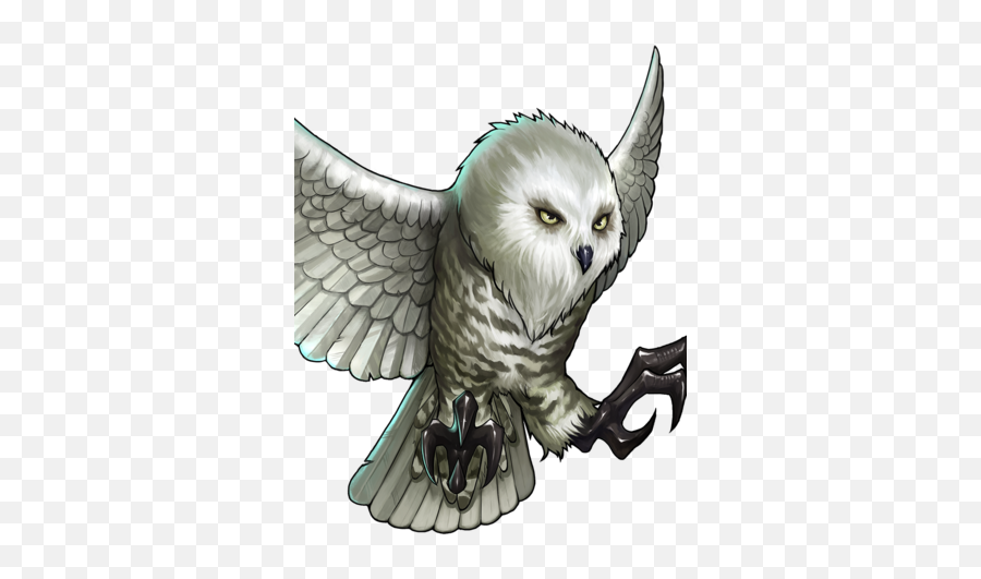 Snowy Owl - Snowy Owl Png,Owl Png