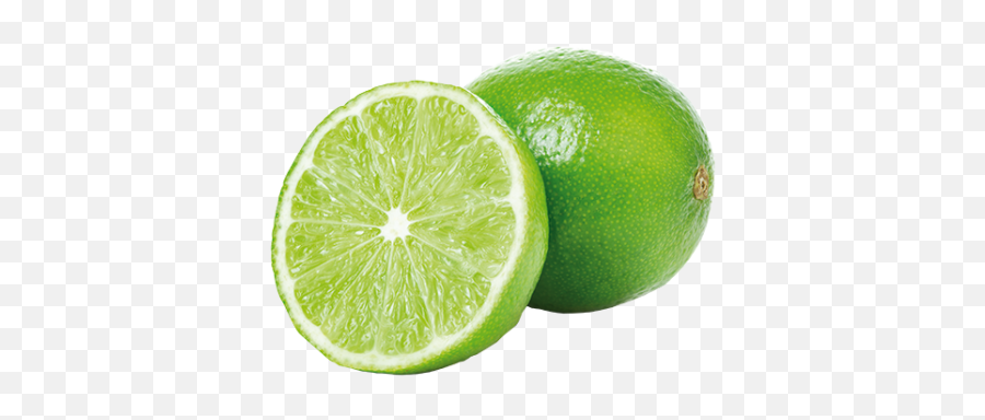 Lime Wwwnatureandmorecom - Limoen Png,Limes Png
