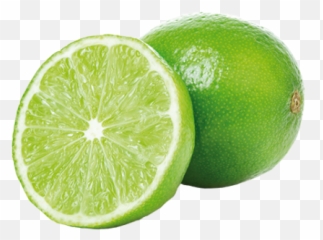 Lime Wwwnatureandmorecom - Limoen Png,Limes Png