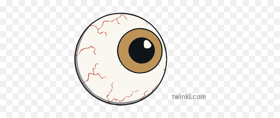 Eyeball Illustration - Twinkl Circle Png,Eye Ball Png