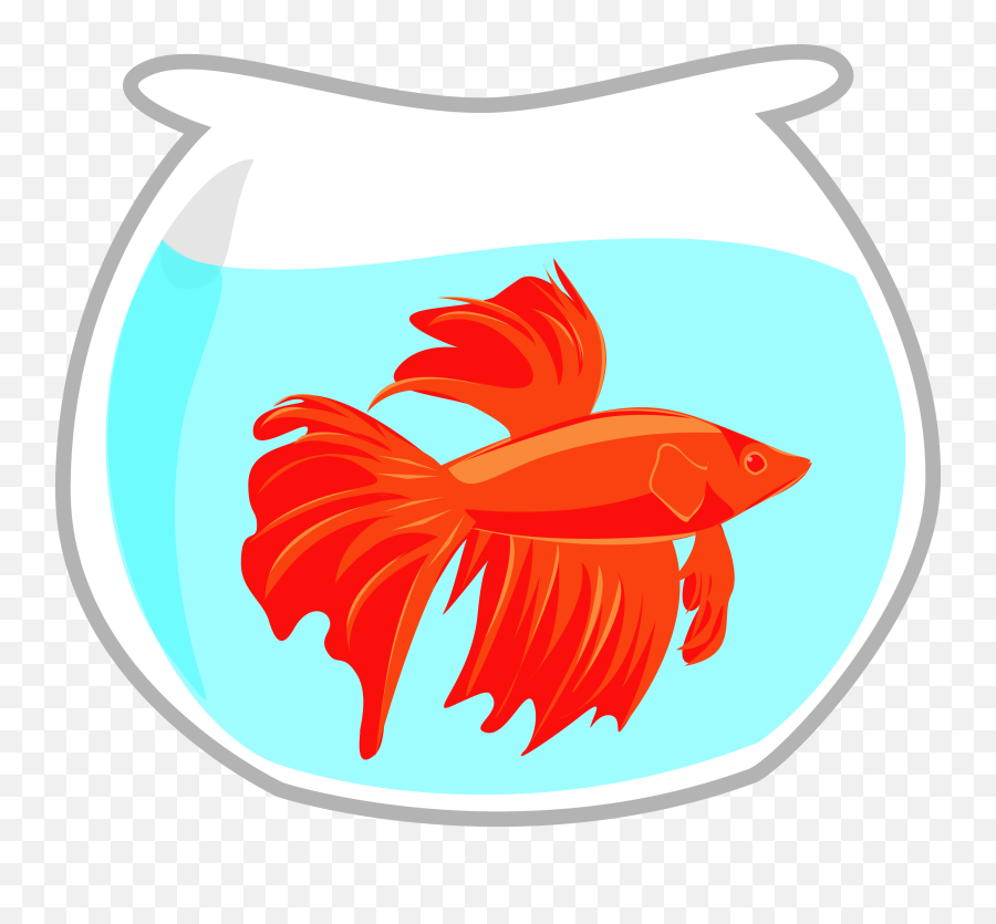Beta - Bowl Enroll Now Clip Art Png,Fish Bowl Transparent Background