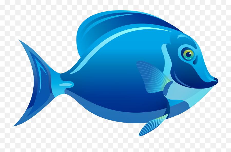 Blue Fish Png U0026 Free Fishpng Transparent Images 70904 - Blue Fish Clipart Png,Fishes Png