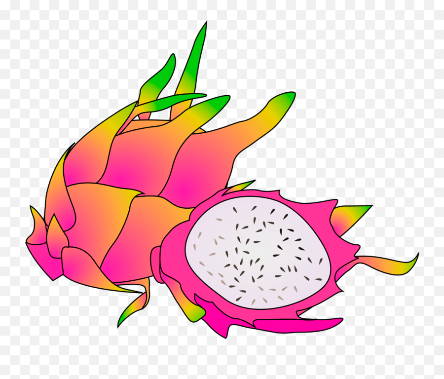 Dragon Fruit - Dragon Fruit Clip Art Png,Dragon Fruit Png