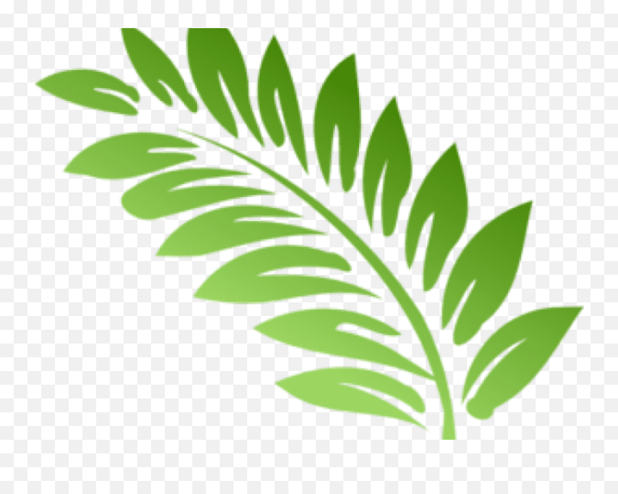 Fern Clipart Hd Png Download - Clipart Fern Leaf Png,Ferns Png