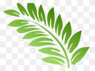Fern Clipart Hd Png Download - Leaf