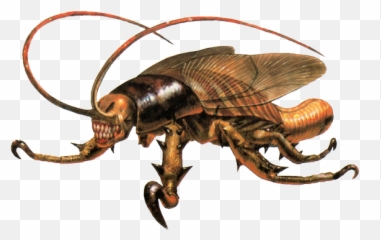 Cockroach Parasite Eve Wiki Fandom - Parasite Eve Cockroach Png,Cockroach Png
