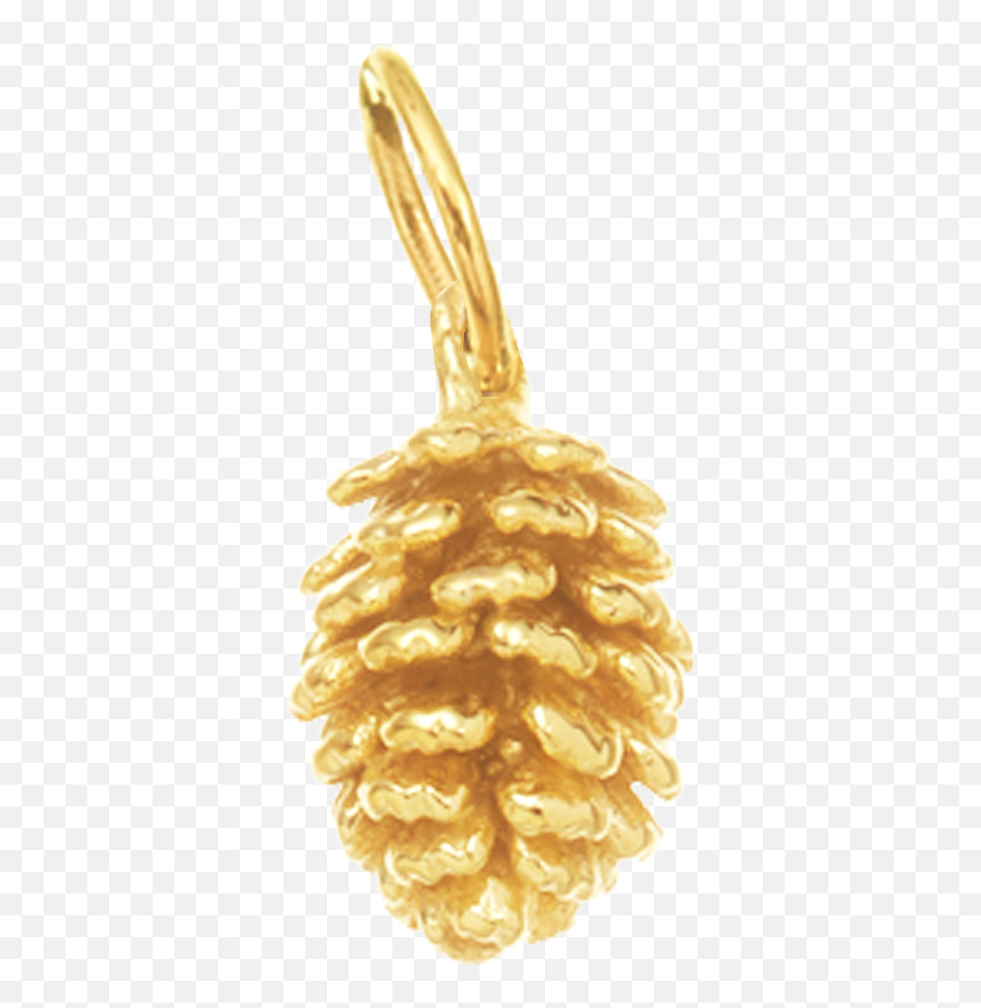 Pinecone For Calm - Solid Png,Pinecone Png