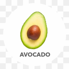 Hass Avocado U2013 Ecoflora Agro - Hass Avocado Png,Aguacate Png