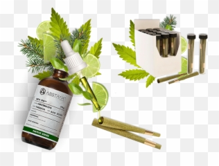 Abstrax Develops New Terpene Infused Rolling Papers Cones - Herbal Png,Blunt Transparent