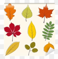 Autumn Leaves Icon Wall Mural U2022 Pixers - We live to change Leaves Icon png