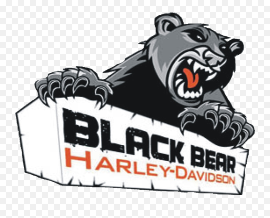 Black Bear Harley - Black Bear Harley Davidson Png,Images Of Harley Davidson Logo