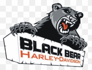 Black Bear Harley - Davidson png