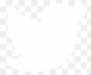 Project Page - Carbon Check Blank png