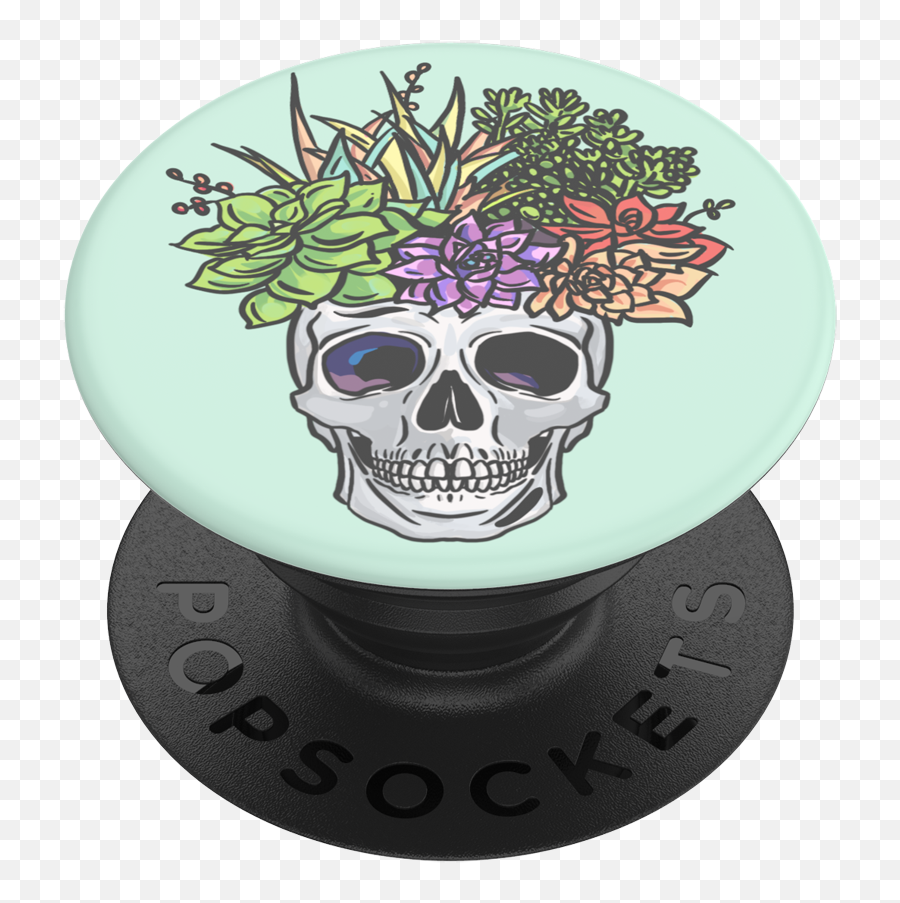 Succulent Headspace - Rainbow Popsocket Png,Headspace App Icon