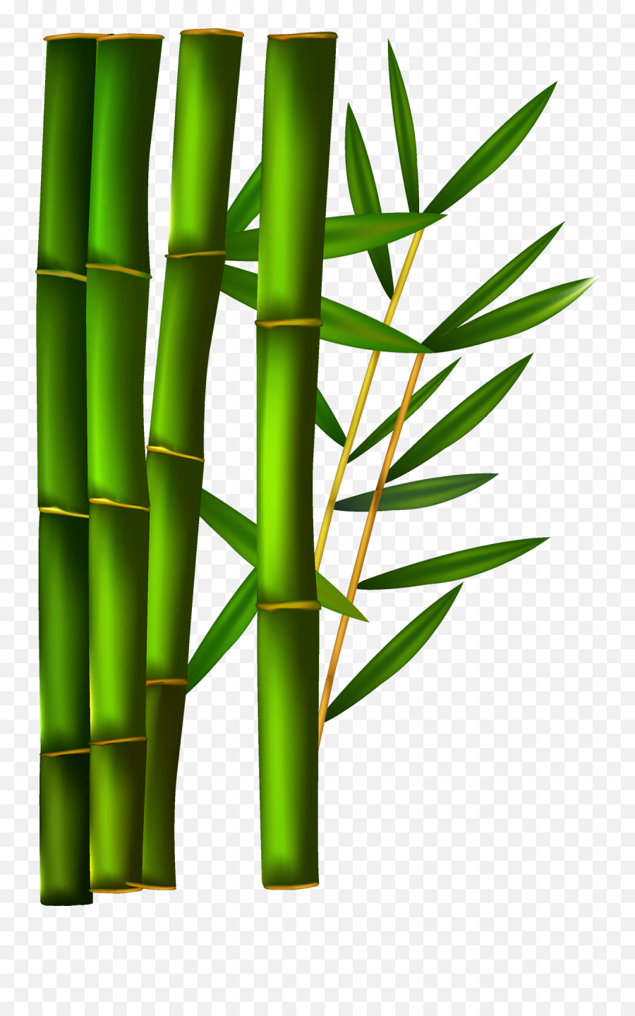 Bamboo Leaves Png Images - Bamboo Clipart Png,Bamboo Leaves Png