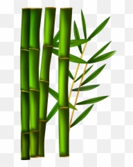 Bamboo Leaves Png Images - Bamboo Clipart Png,Bamboo Leaves Png