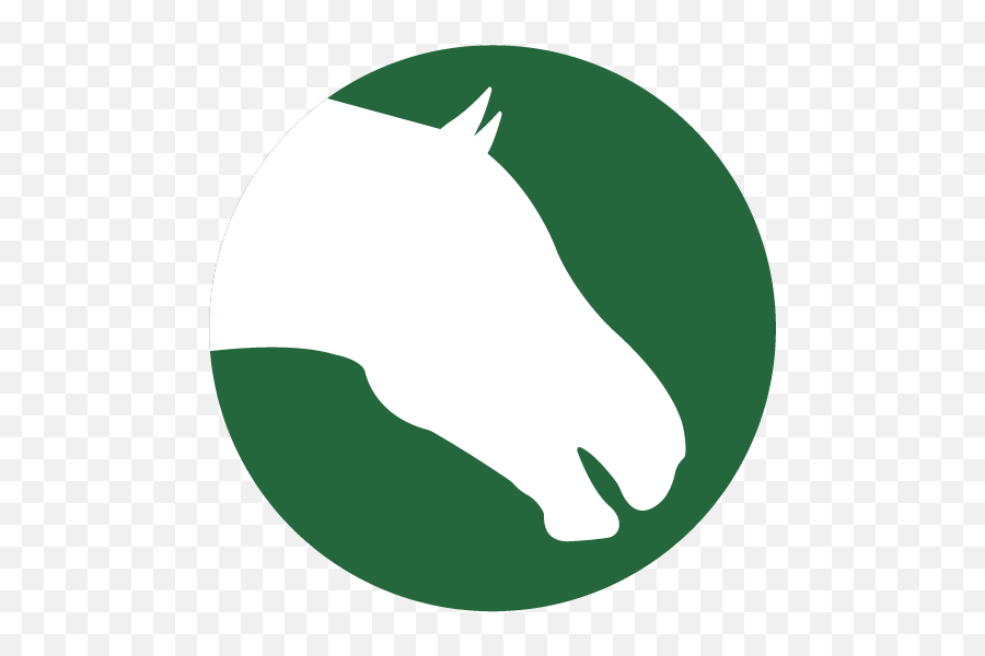 Haygain Usa Png Steam Pony Icon