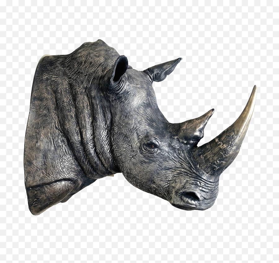 Rhino Head Png Image - Rhino Head Png,Rhino Png