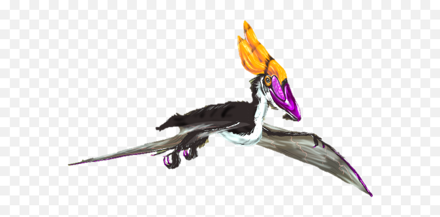 Pterodactyl - Dragon Png,Pterodactyl Png