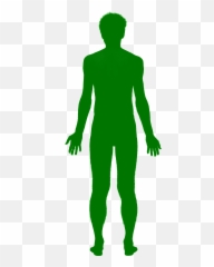 Chakra Silhouette - Green Man Clipart png