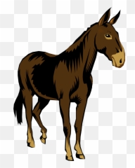 Mule Png 3 Image - Mule Clip Art,Mule Png