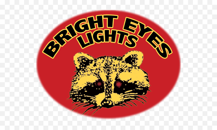 We Are The Led Experts U2013 Bright Eyes Lights - Illustration Png,Light Eyes Png