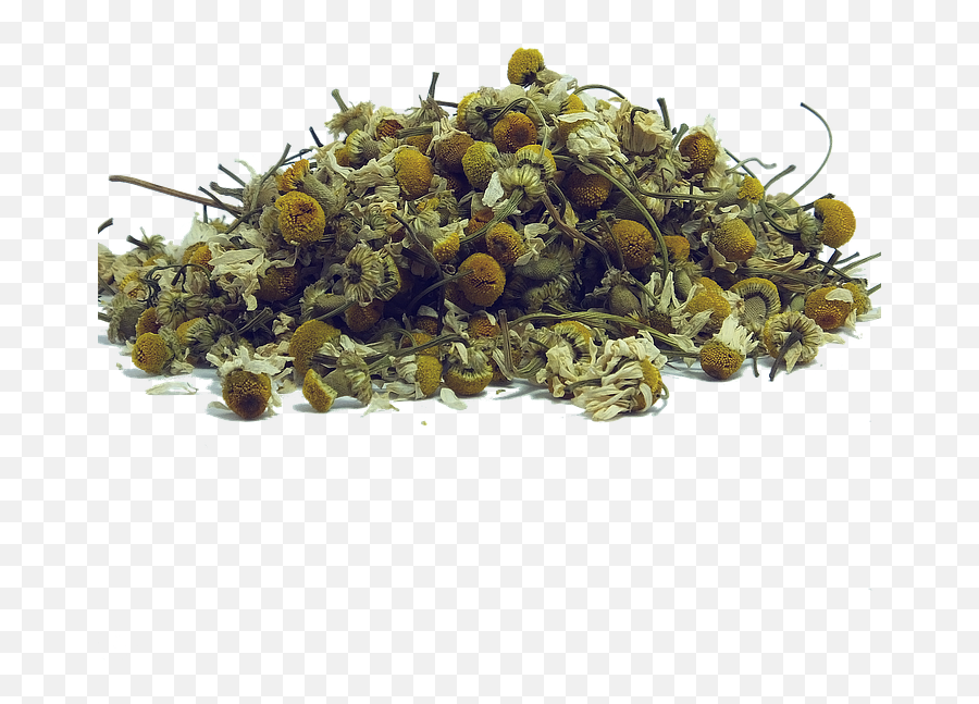 Ingredients U2014 Hatha Tea - Chamomile Png,Chamomile Png