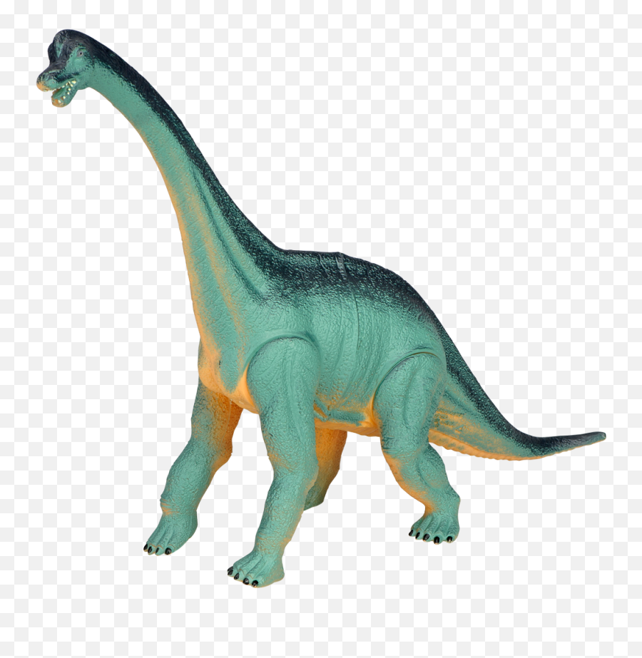 Download Dino Big Dinosaur Brachiosaurus Large - Iso Dinosaurus Lelu Png,Brachiosaurus Png
