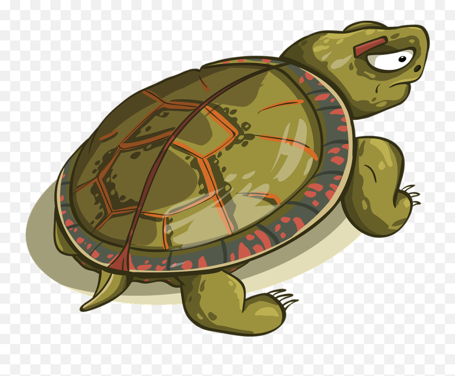 Tortoise Shell Amphibious - Turtle Shell Cartoon Png,Tortoise Png