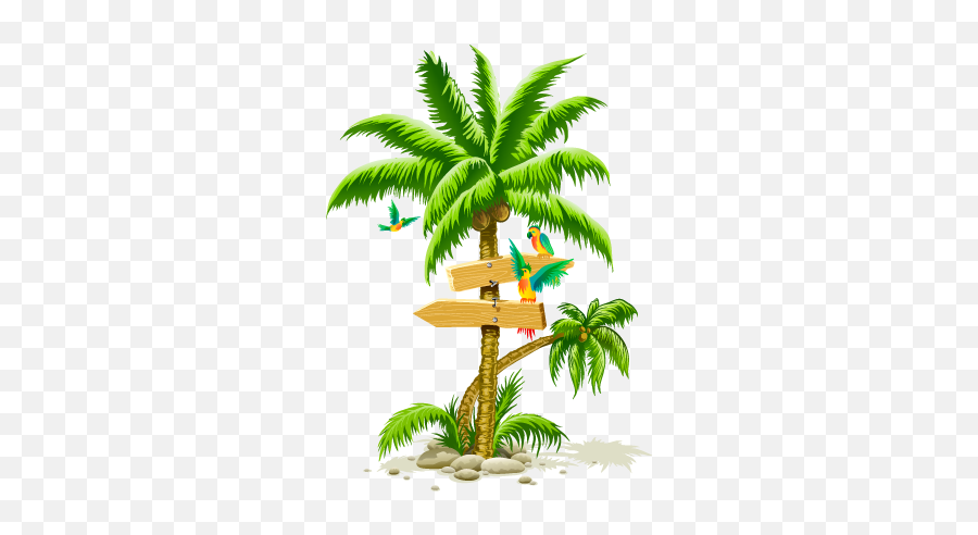Palm Tree Png Images - Tropical Palm Tree Png,Palmtree Png