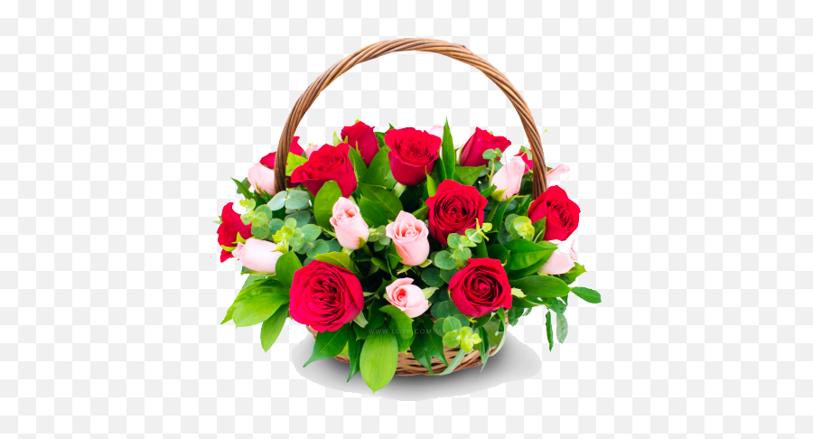 Congratulation Flower Png Transparent Images All - Happy Birthday Dearest Friend Latest,Rose Flower Png