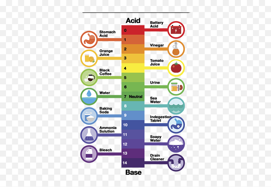 What Is Ph And How To Easily Test It In Your Aquarium - Colour Ph Scale With Examples Png,Fish Bowl Transparent Background