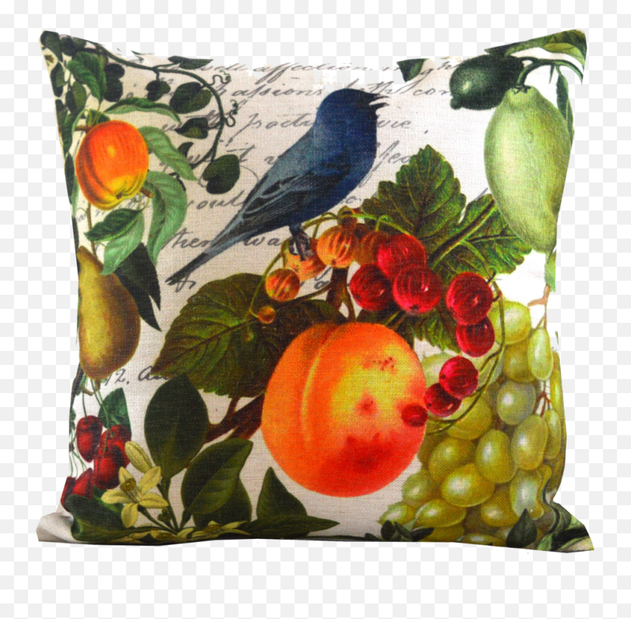 18 White And Blue Bird Fruit Throw Pillow With Insert - Clementine Png,Pillow Transparent Background